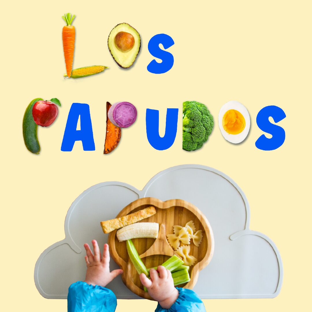 Los Papudos